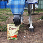equine-pure-delights-carrot-mint-turmeric-and-chia