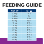 hills brain aging care