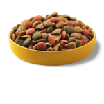 pedigree-adult-beef-small-breed