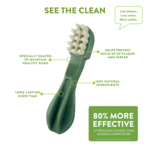 whimzees toothbrush large