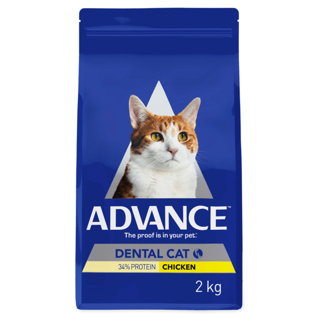 Buy Advance Adult Dental Oral Dry Cat Food Chicken Online Low Prices
