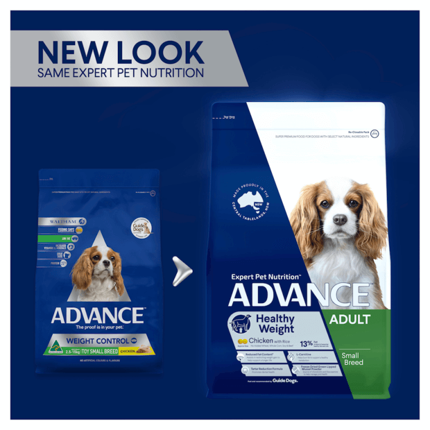 Buy Advance Healthy Weight Small Adult Dry Dog Food Chicken With Rice