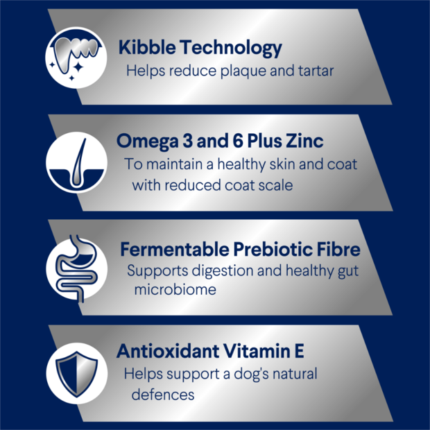 Buy Advance Medium Adult Dry Dog Food Turkey With Rice Online Low