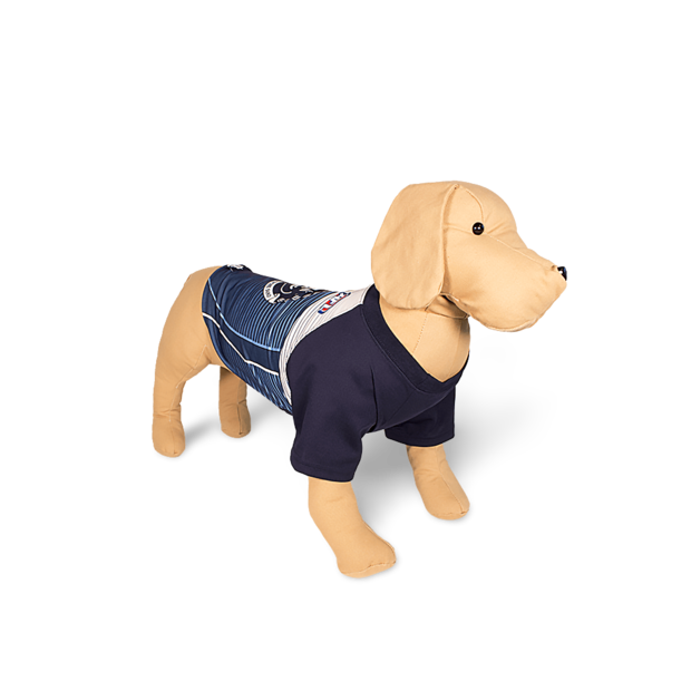 Buy Afl Dog T Shirt Carlton Blues Online | Low Prices ...