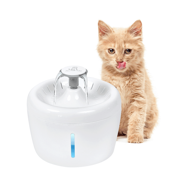 Buy All Fur You Whisper Pet Water Fountain Online | Low ...