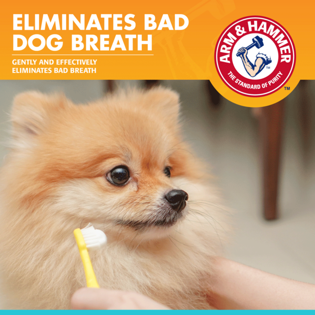 Buy Arm And Hammer Fresh Breath Enzymatic Toothpaste For Dogs Chicken
