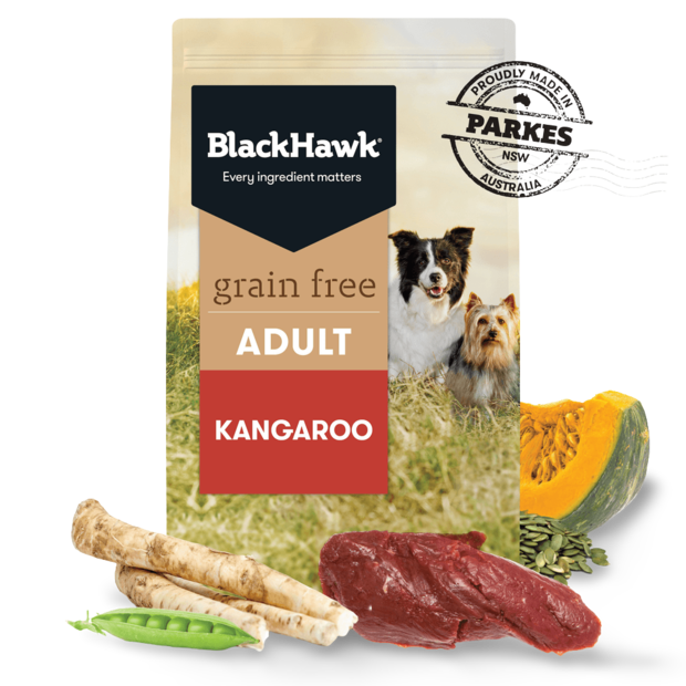black hawk kangaroo