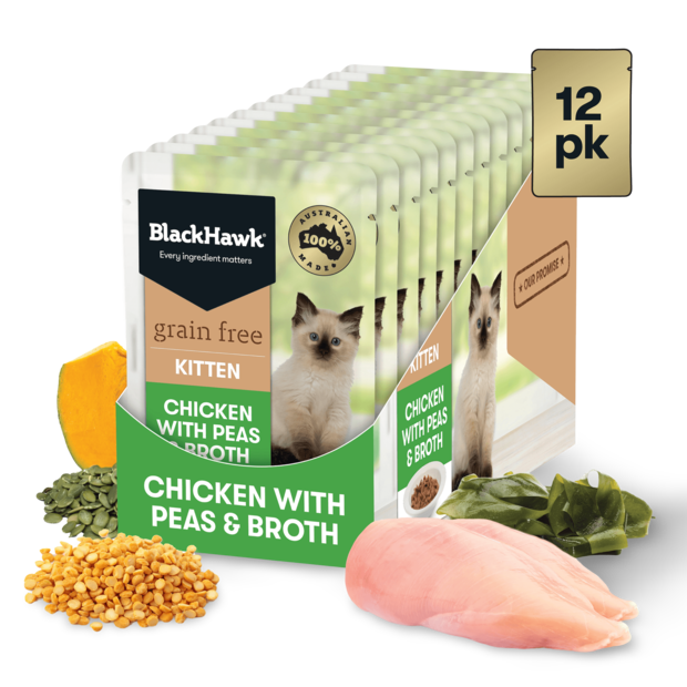 blackhawk kitten