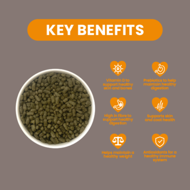 Buy Burgess Indoor Rabbit Nuggets Online Better Prices At Pet Circle