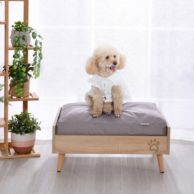 12 Cute Dog Bed Ideas You Need To See