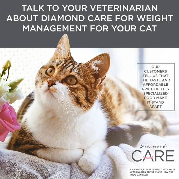 Buy Diamond Care Weight Management Dry Cat Food Online Low Prices