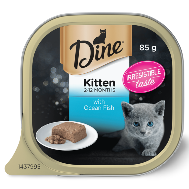 Buy Dine Daily Kitten Ocean Fish Trays Wet Cat Food Online Better