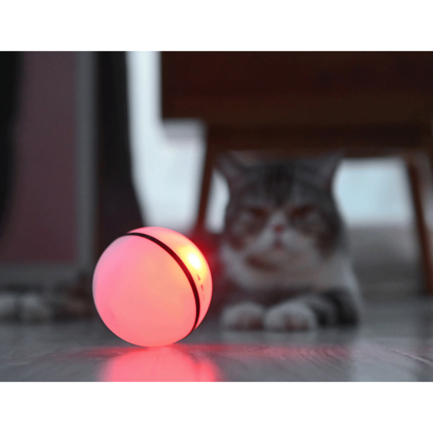 Buy Dogness Cat Rolling Mint Green Online Better Prices At Pet Circle