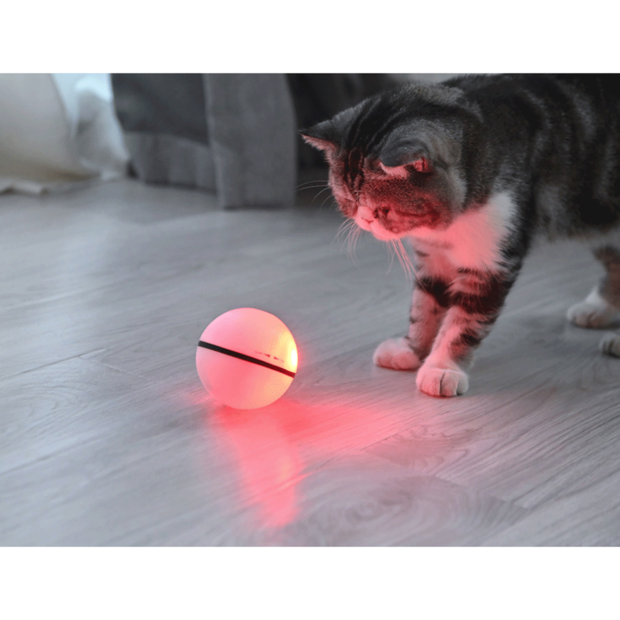 Buy Dogness Cat Rolling Mint Green Online Better Prices At Pet Circle