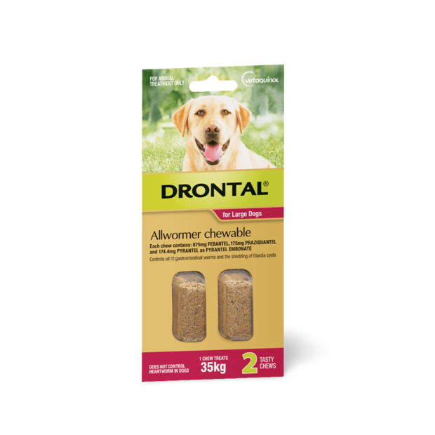 How Often To Give Drontal To Dogs