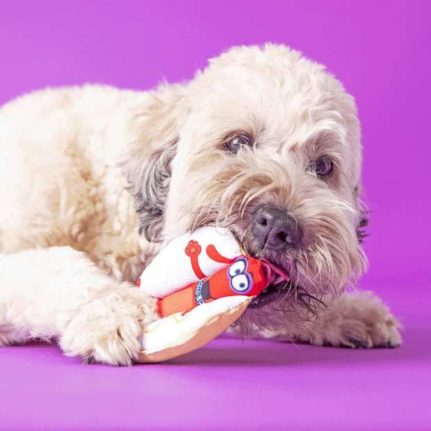 Buy Fat Cat Classic Mini Snacklers Dog Toy Online Better Prices At Pet Circle