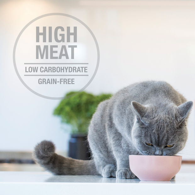 Buy Feline Natural Lamb And Salmon Grain Free Cat Food Pouches Online