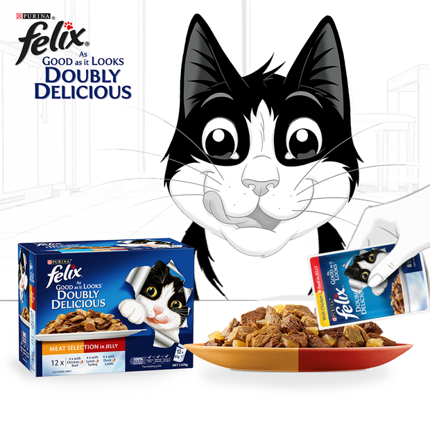 Buy Felix Wet Cat Food Adult Doubly Delicious Meat Selection Pouches