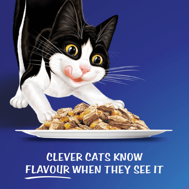 felix cat food australia