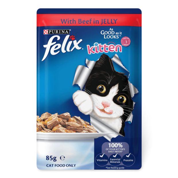 felix cat food kitten