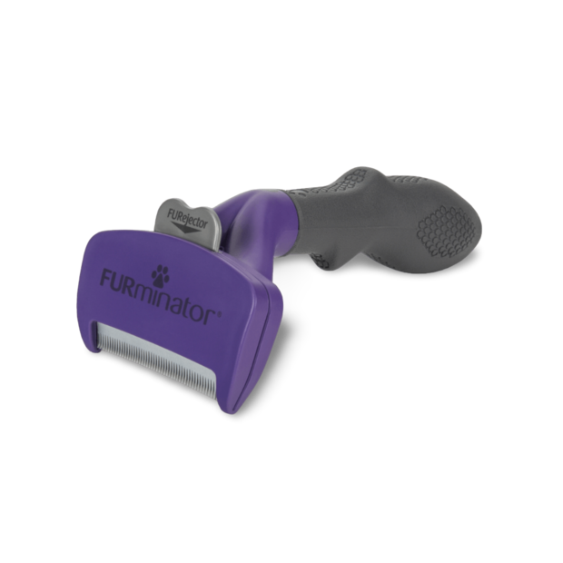 Best Deshedding Tool For Short Hair Dogs (2026 Update)