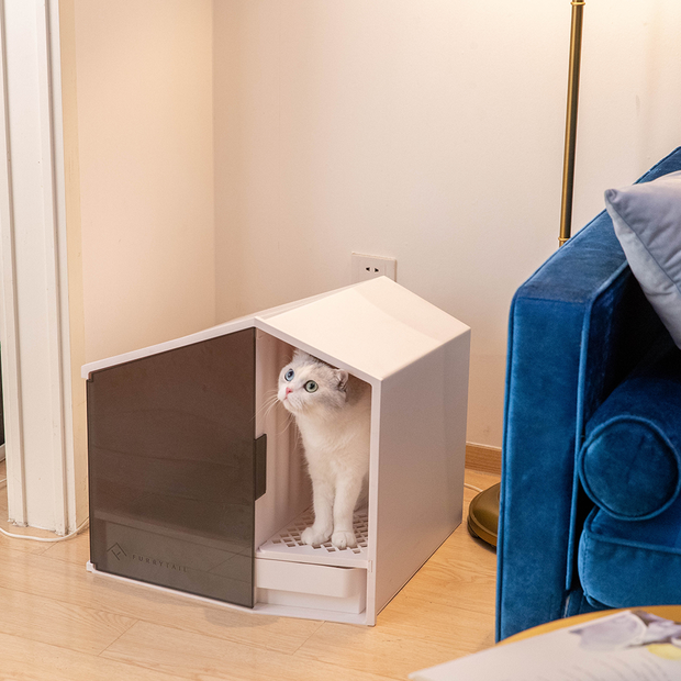 Buy Furrytail Semi Closed Glow House Cat Litter Box With Scoop Online