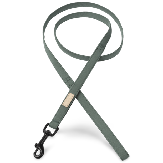 Buy Fuzzyard Life Dog Lead Myrtle Green Online Better Prices At Pet