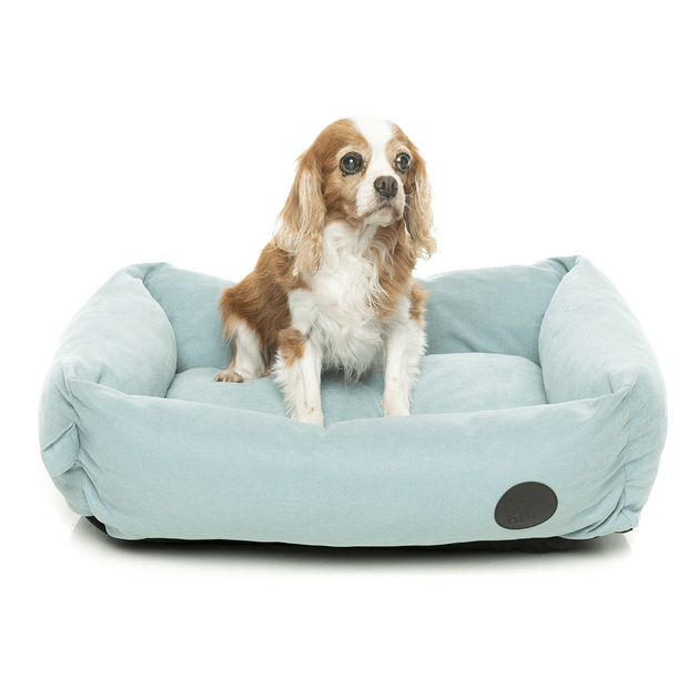 Buy Fuzzyard Lounge Dog Bed Powder Blue Online Better Prices At Pet