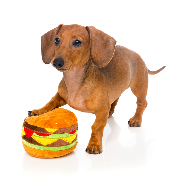 Buy Fuzzyard Plush Toy Hamburger Online Better Prices At Pet Circle