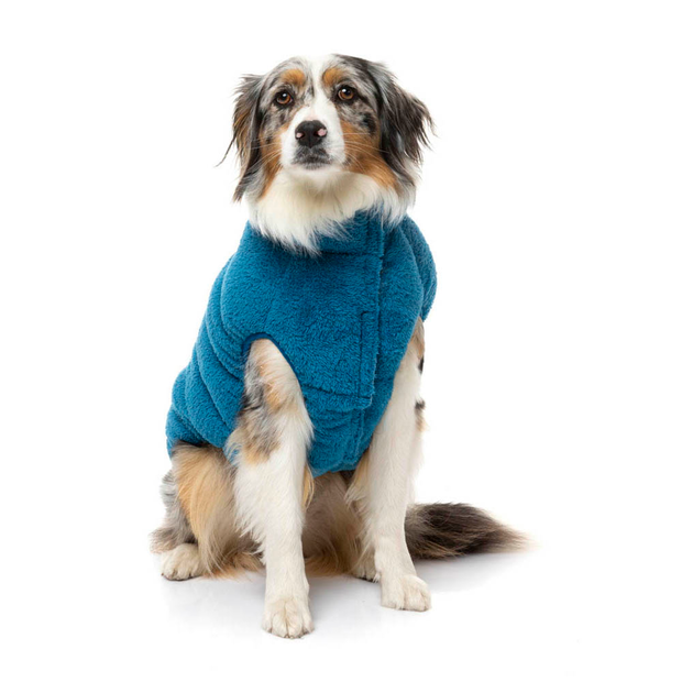 pet circle dog clothes