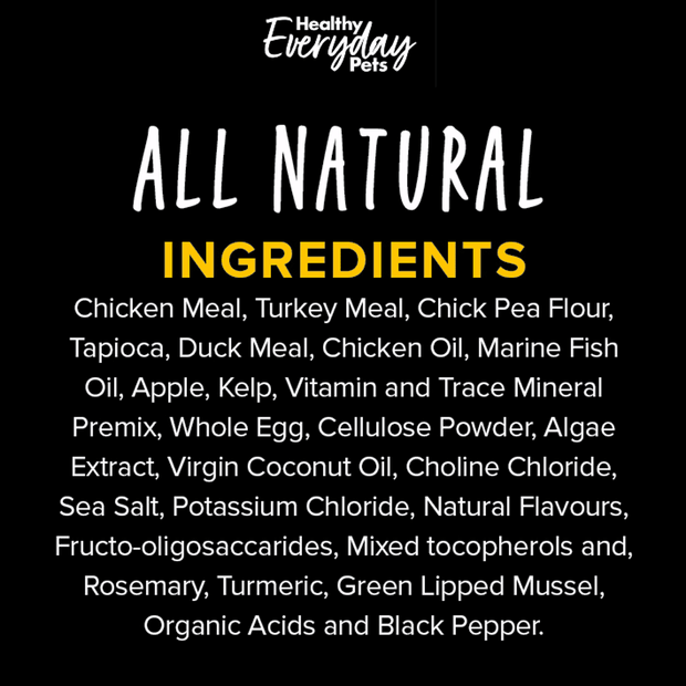 healthy everyday pets