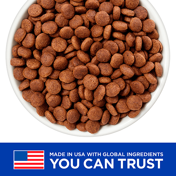 Buy Hills Prescription Diet Gastrointestinal Biome Digestive Fibre Care