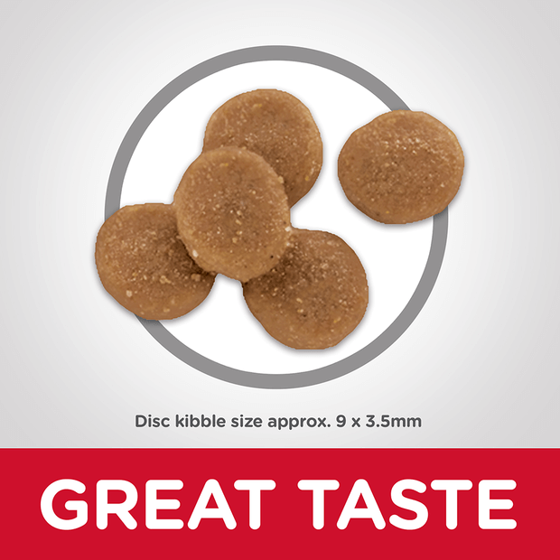 Buy Hills Science Diet Adult Sensitive Stomach And Skin Dry Cat Food