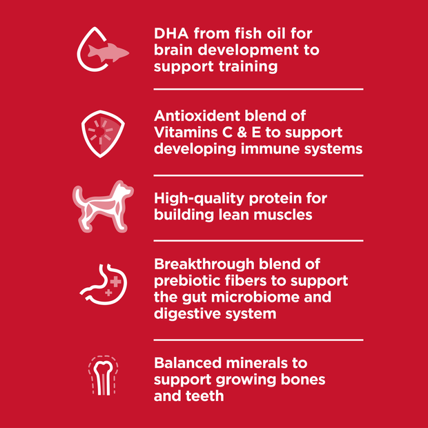 Buy Hills Science Diet Puppy Small Bites Dry Dog Food Online Better