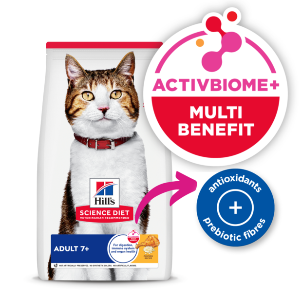 science diet active longevity cat