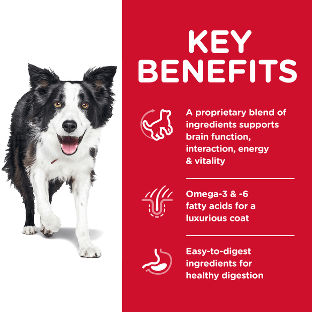 Buy Hills Science Diet Senior 7 Plus Youthful Vitality Dry Dog Food