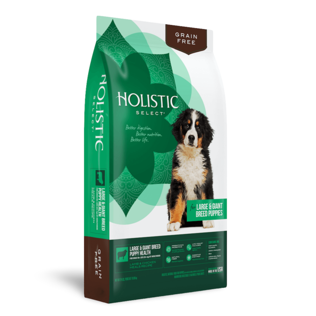 Buy Holistic Select Grain Free Dry Dog Food Puppy Large Giant Breed