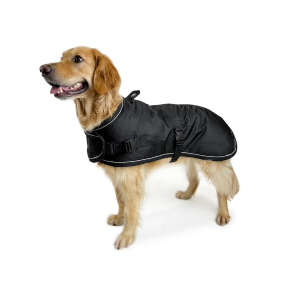 Buy Huskimo Coat Summit Pro Dark Sky Online Better Prices At Pet Circle