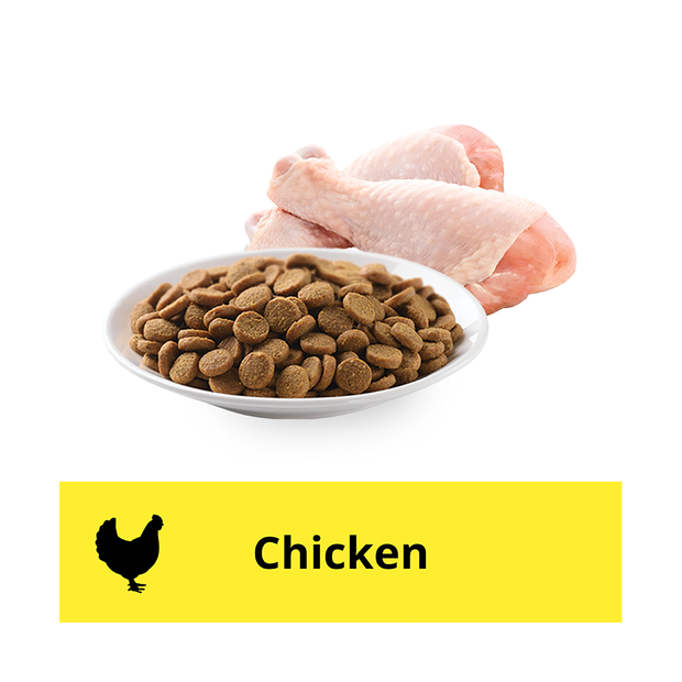 Buy iams dry cat food adult indoor weight and hairball chicken online