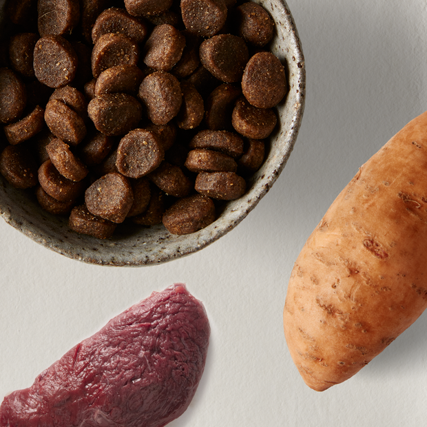 Buy Instinctive Bite Grain Free Adult Dry Dog Food Kangaroo Sweet