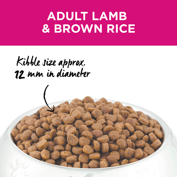 Buy Ivory Coat Dry Dog Food Adult Lamb And Brown Rice Online Better