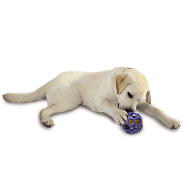 Buy Jw Pet Hol Ee Roller Dog Toy Online Low Prices, Free Shipping