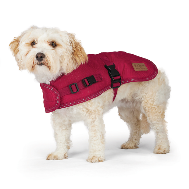 pet circle dog clothes