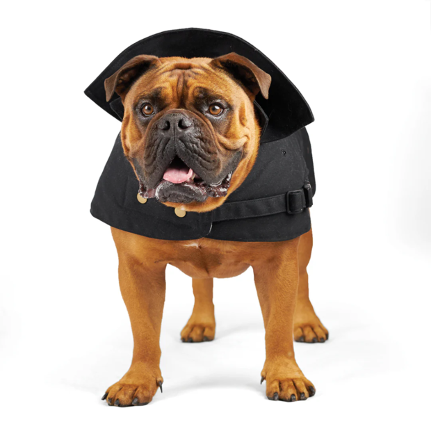 Buy Kazoo Aussie Oilskin Black Dog Coat Online Better Prices At Pet