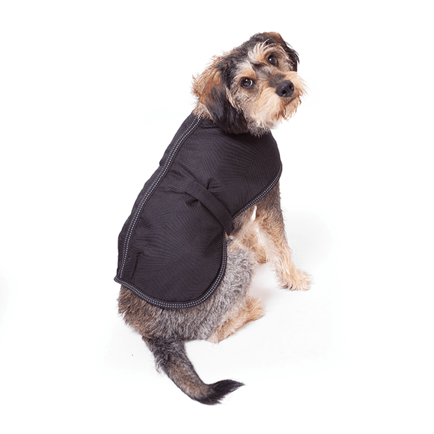 Buy Kazoo Coat Adventure Black Online Low Prices, Free Shipping