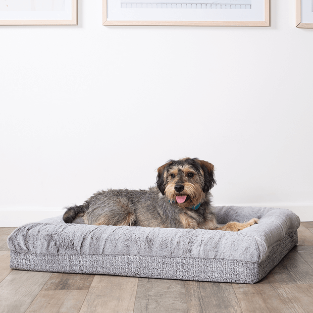 Buy Kazoo Dog Bed Wombat Grey Online | Low Prices, Free ...