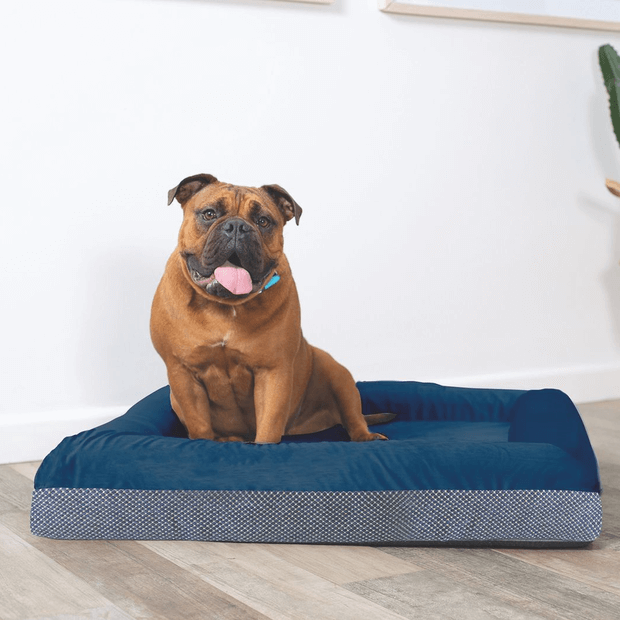 Buy Kazoo Dog Bed Wombat Midnight Blue Online Better Prices At Pet Circle