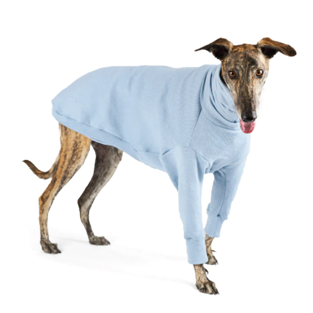 Buy Kazoo Jumper Greyhound Knit Glasshouse Online Better Prices At