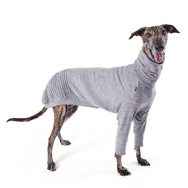 Buy Kazoo Jumper Greyhound Softie Grey Online Better Prices At Pet Circle