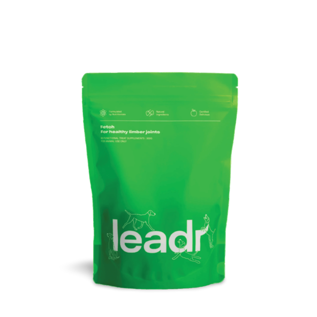 Buy Leadr Fetch Joint Supplement For Dogs Online Better Prices At Pet